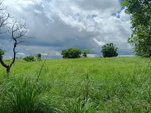 Farmland for Sale in Uganda 6000acres