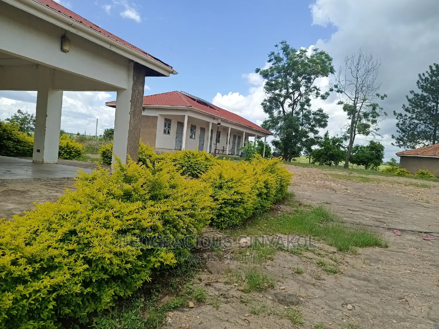Farmland for Sale in Uganda 6000acres