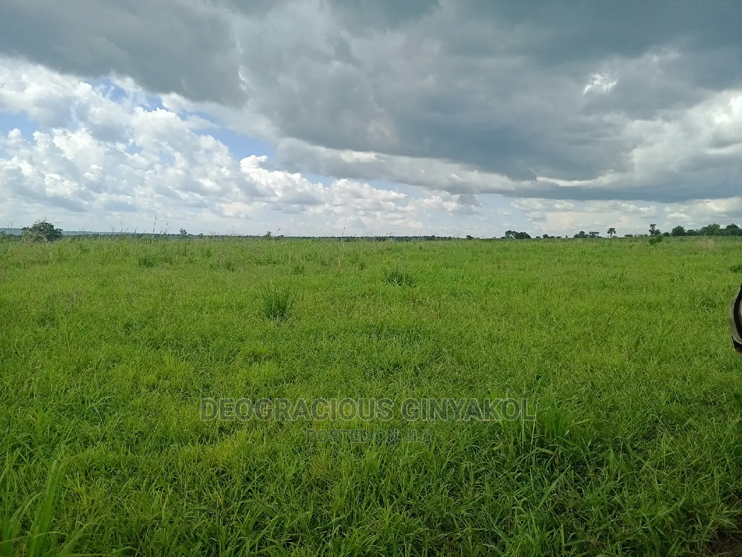 Farmland for Sale in Uganda 6000acres