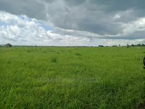 Farmland for Sale in Uganda 6000acres