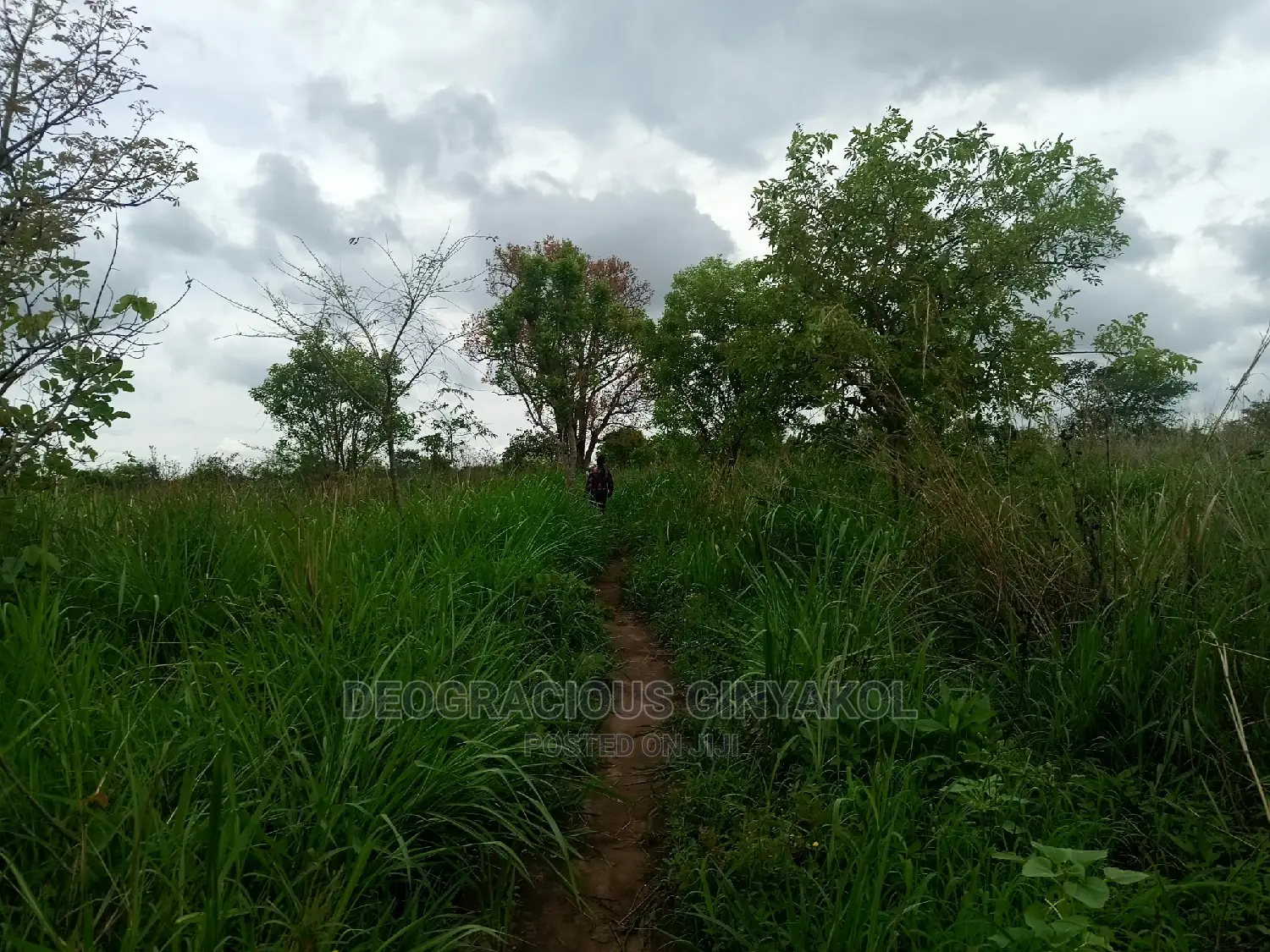 Farmland for Sale in Uganda 6000acres