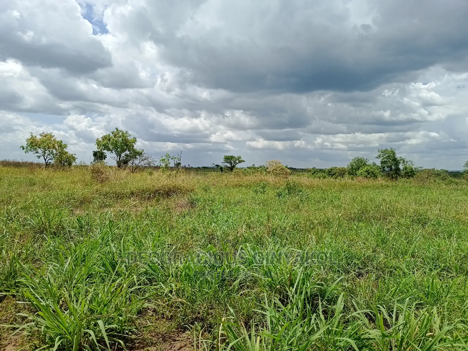 Farmland for Sale in Uganda 6000acres