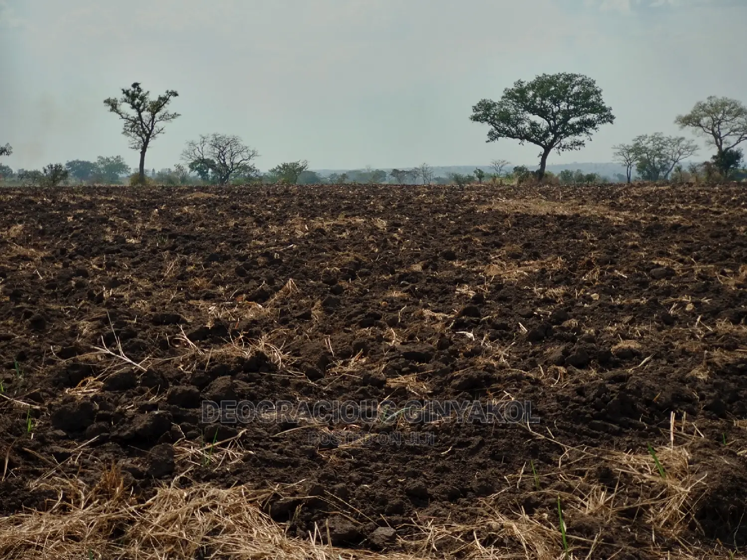 Farmland for Sale in Uganda 6000acres