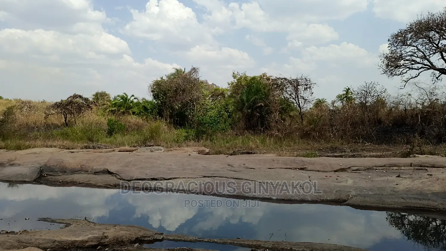 Farmland for Sale in Uganda 6000acres