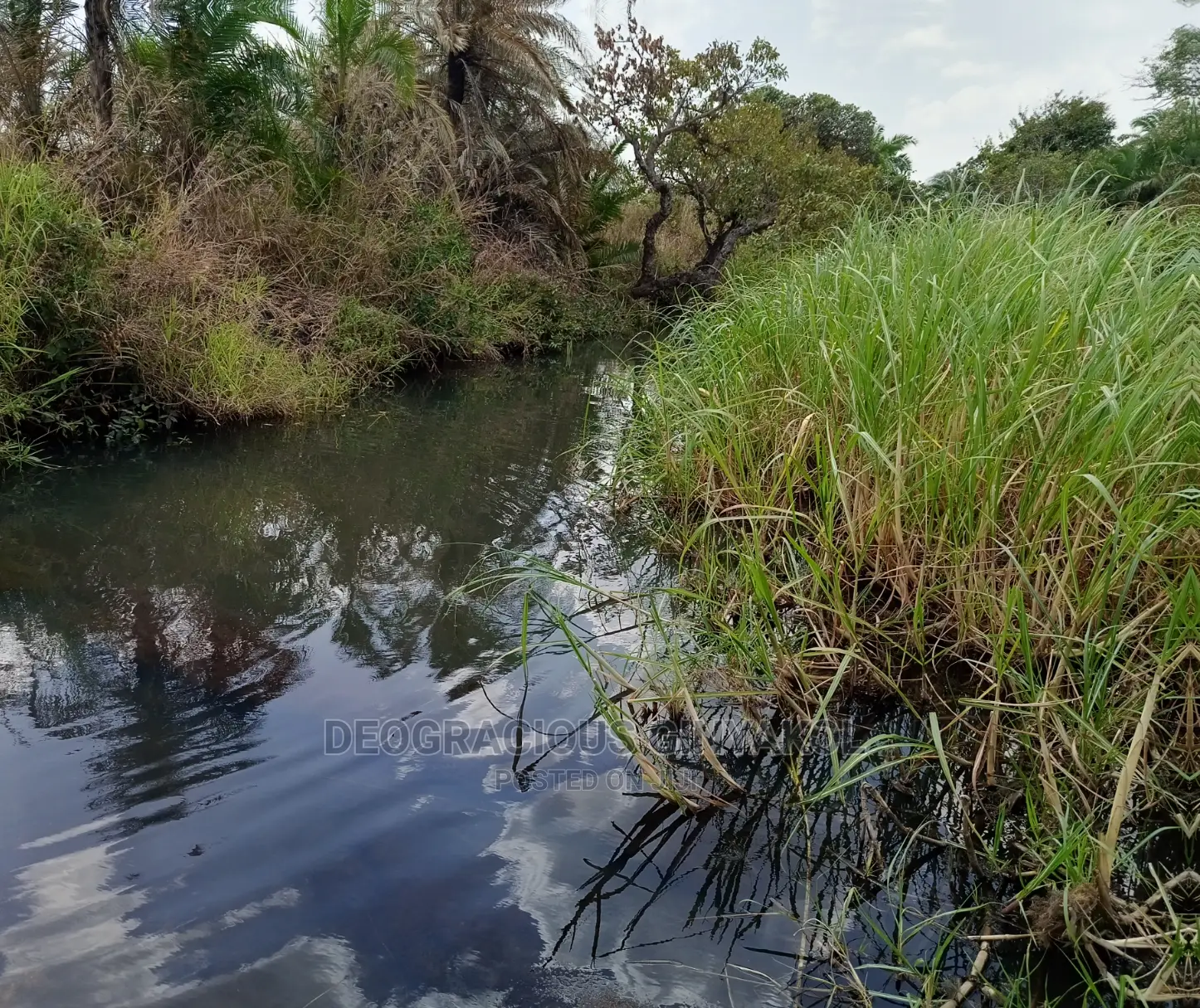 Farmland for Sale in Uganda 6000acres