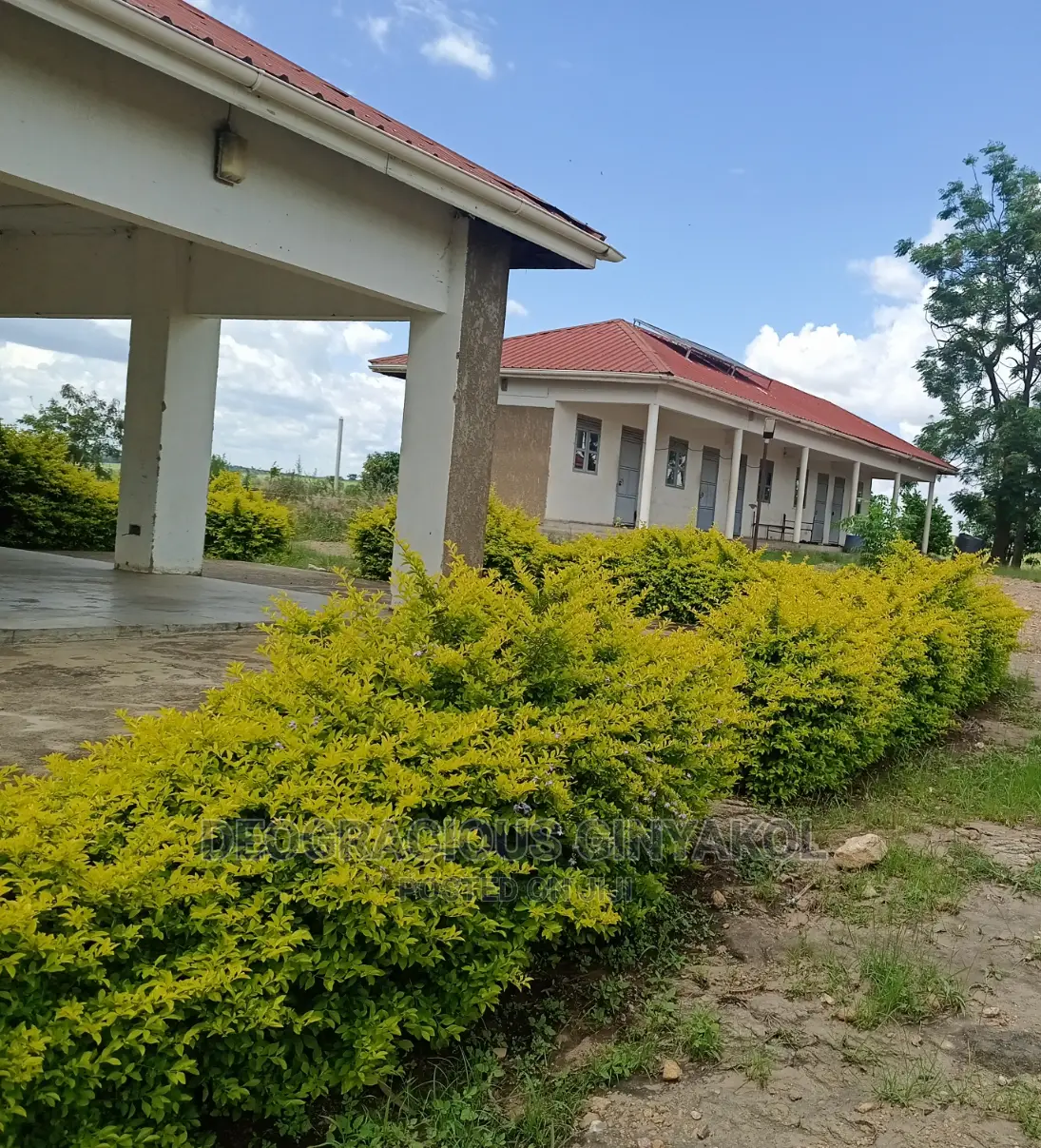 Farmland for Sale in Uganda 6000acres