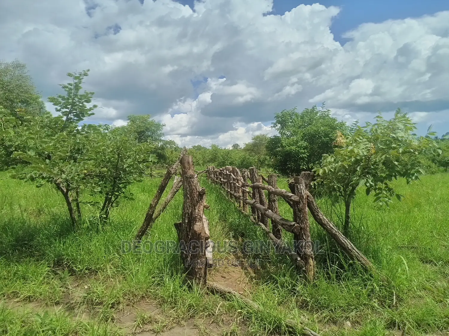 Farmland for Sale in Uganda 5000acres