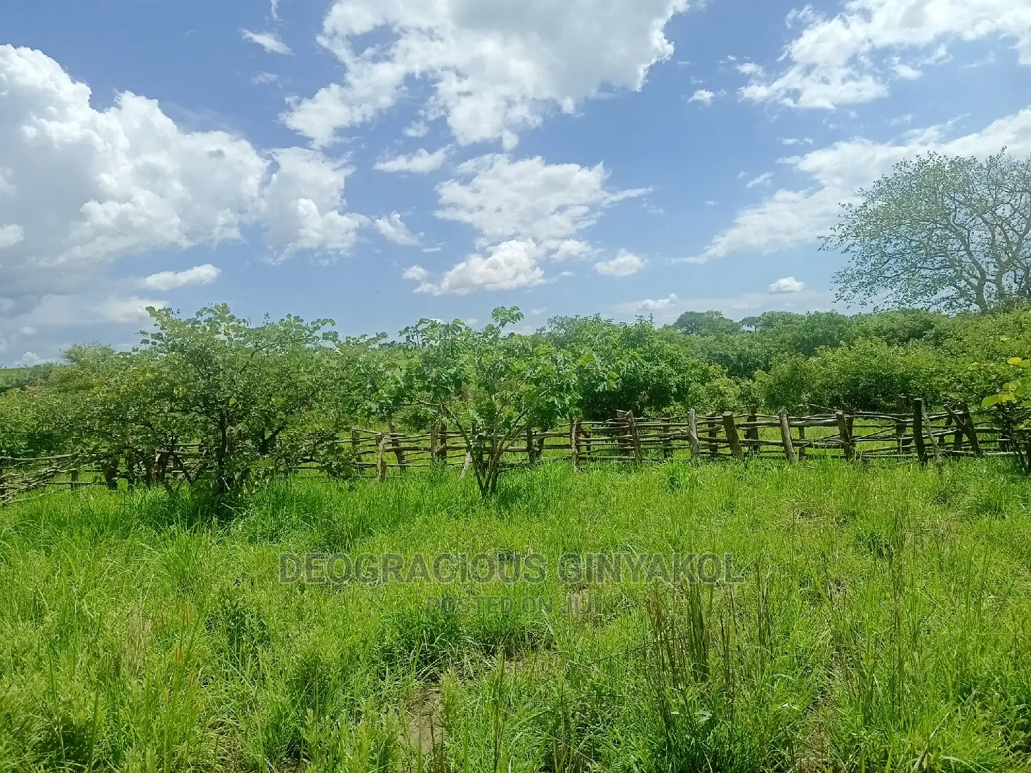 Farmland for Sale in Uganda 5000acres