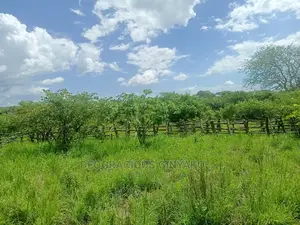 Farmland for Sale in Uganda 5000acres