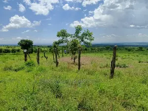 Farmland for Sale in Uganda 5000acres
