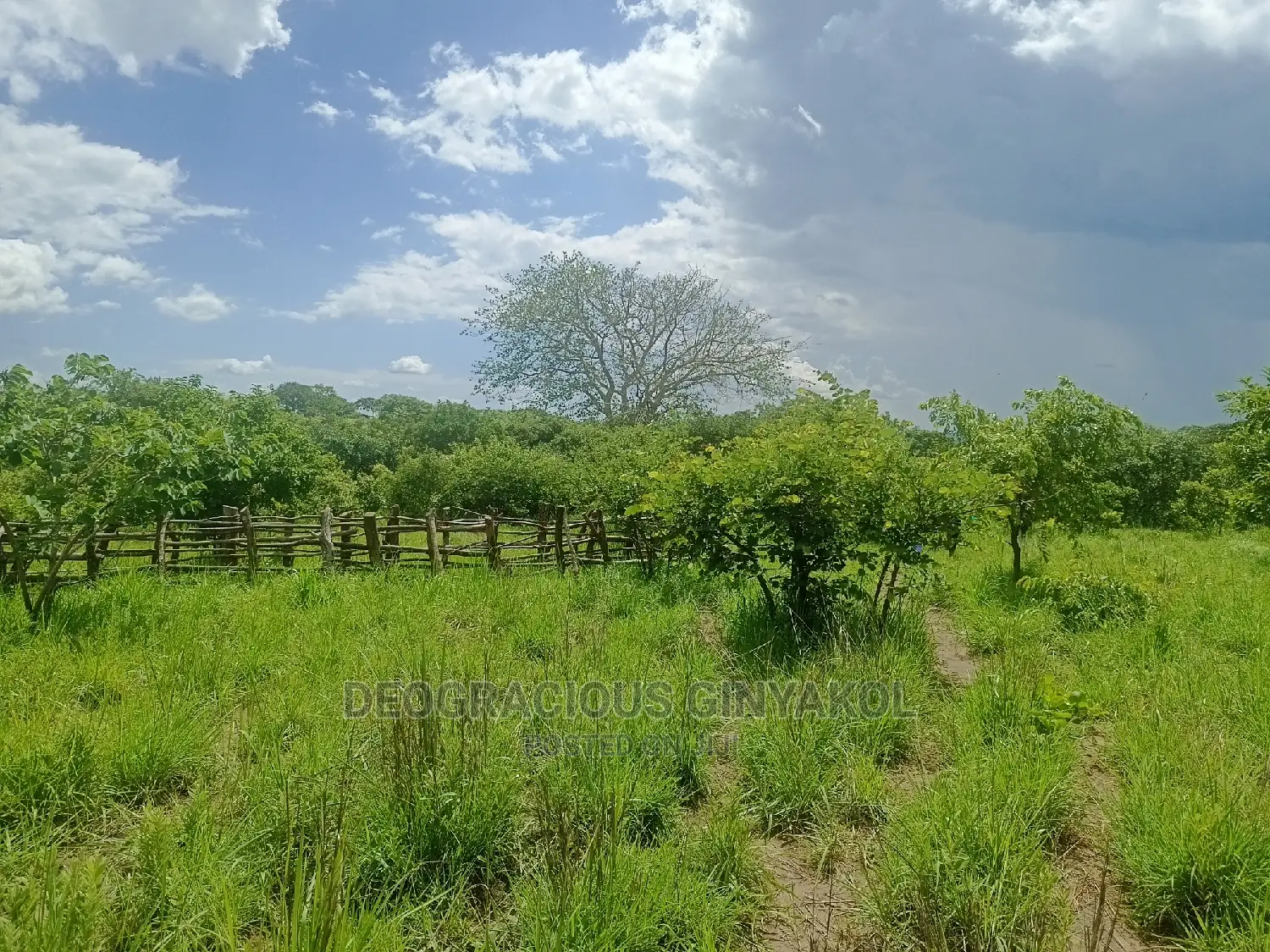 Farmland for Sale in Uganda 5000acres