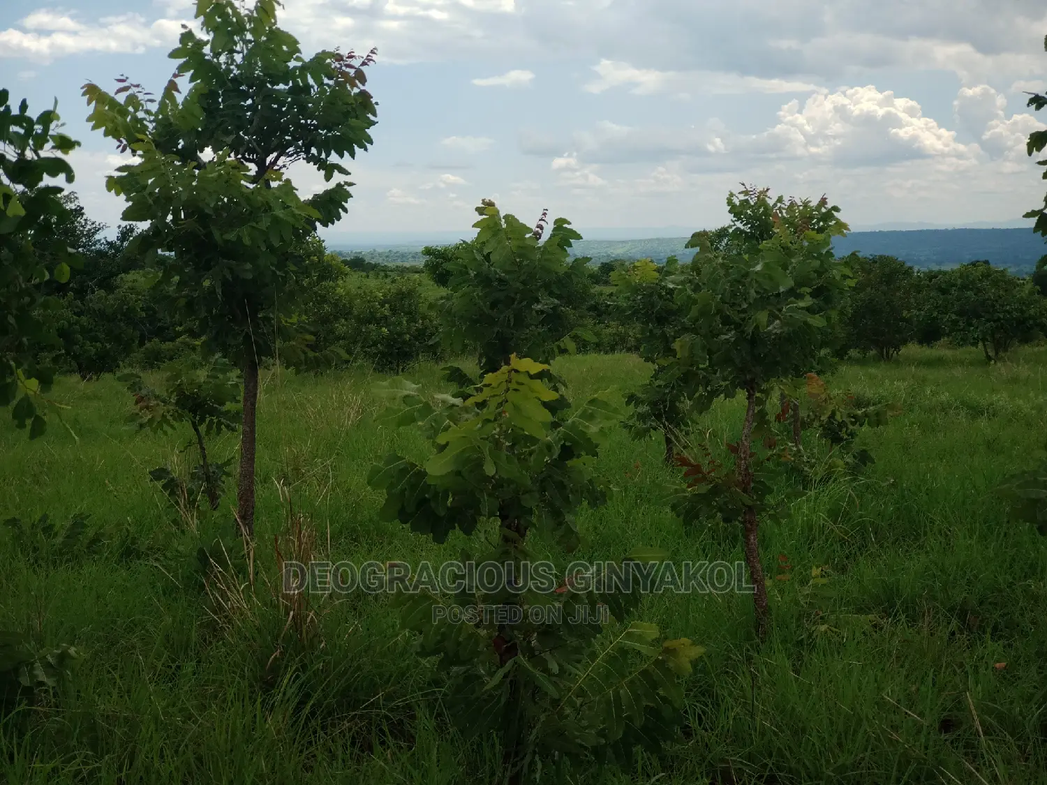 Farmland for Sale in Uganda 5000acres