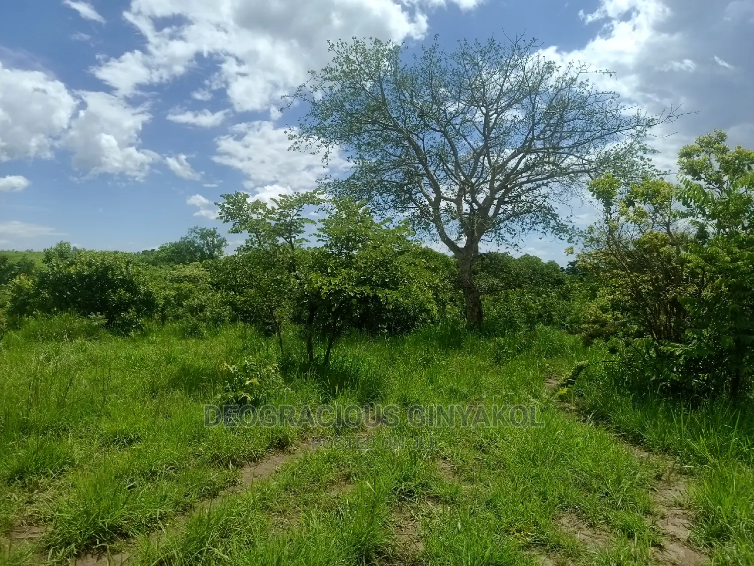 Farmland for Sale in Uganda 5000acres