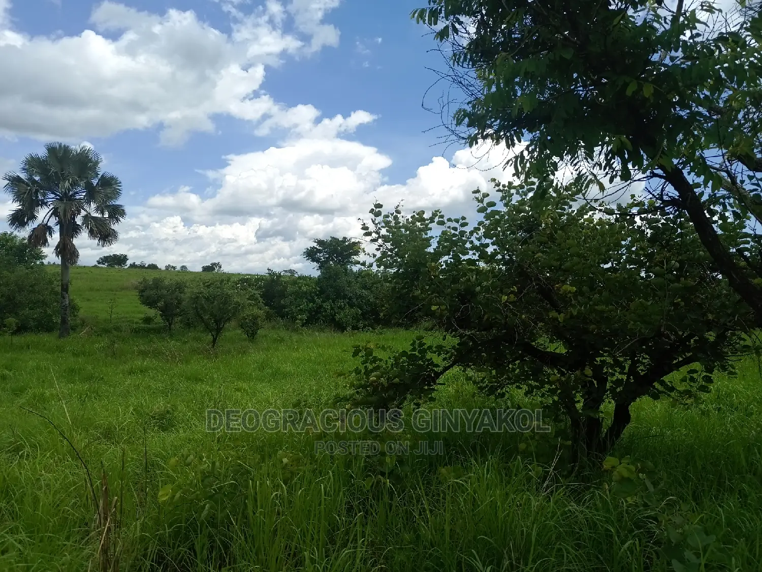 Farmland for Sale in Uganda 5000acres
