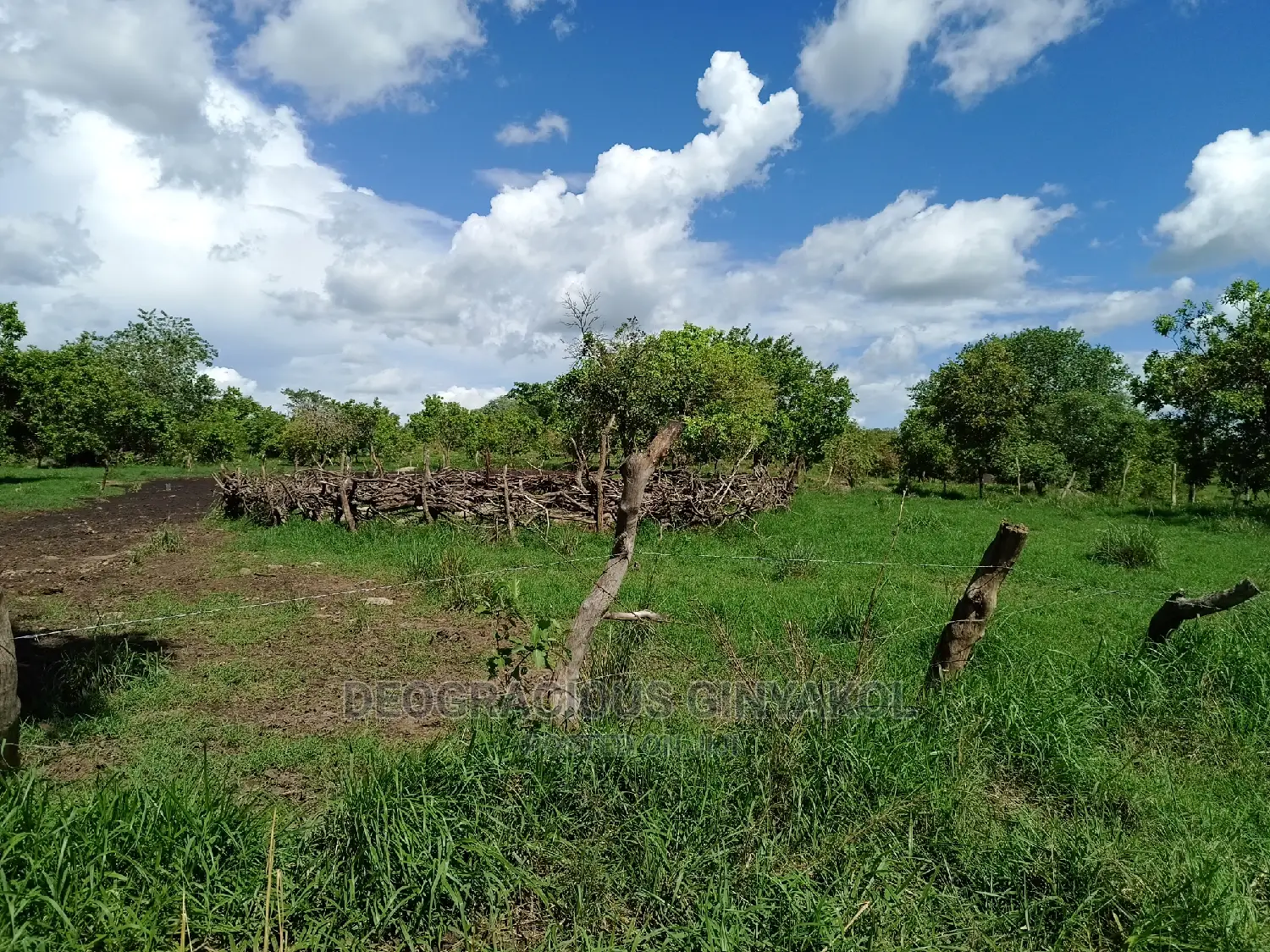 Farmland for Sale in Uganda 5000acres