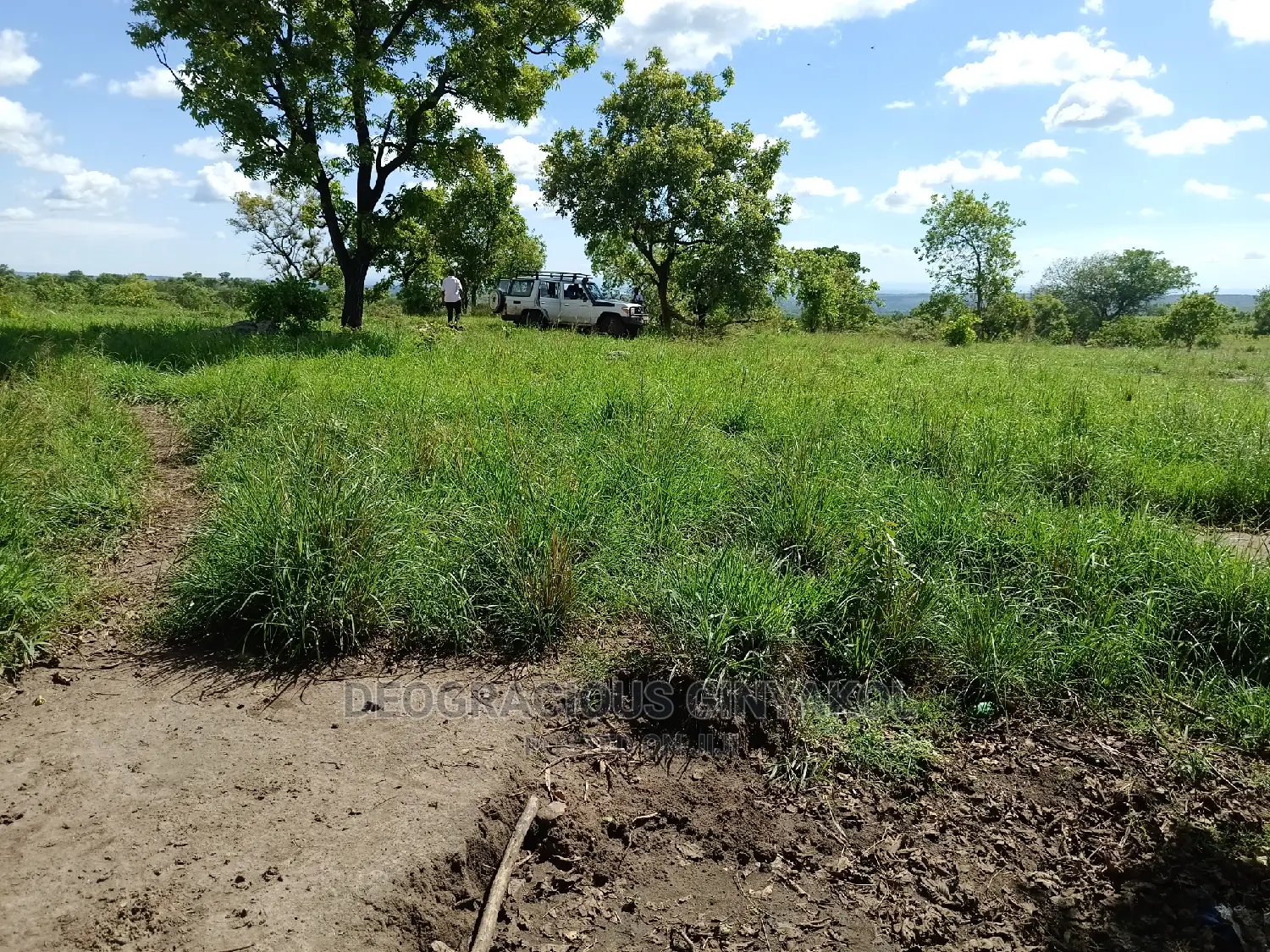 Farmland for Sale in Uganda 5000acres