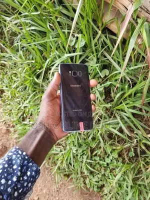 Samsung Galaxy S8 Plus 64 GB Blue