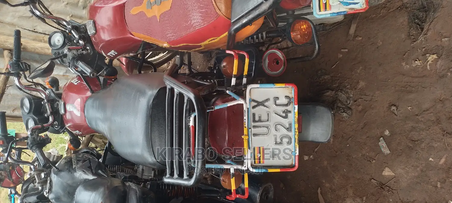 TVS HLX 125 2020 Gray