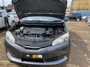 Toyota Wish 2010 Gray
