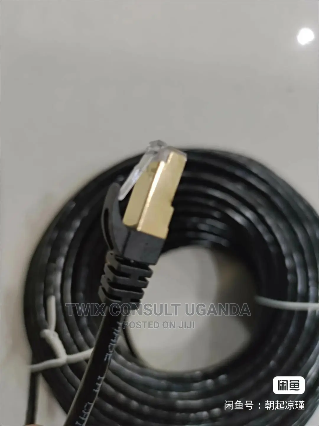 Cat 6 Cable