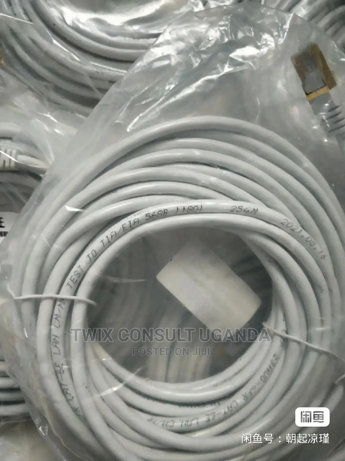 Cat 6 Cable