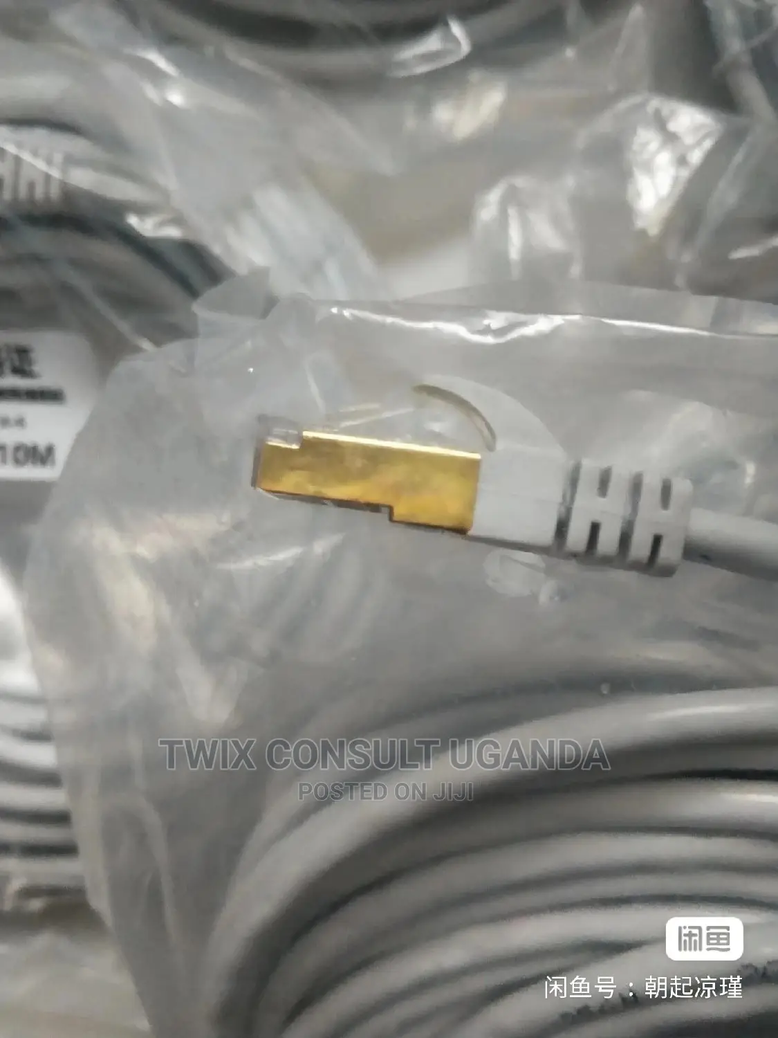 Cat 6 Cable