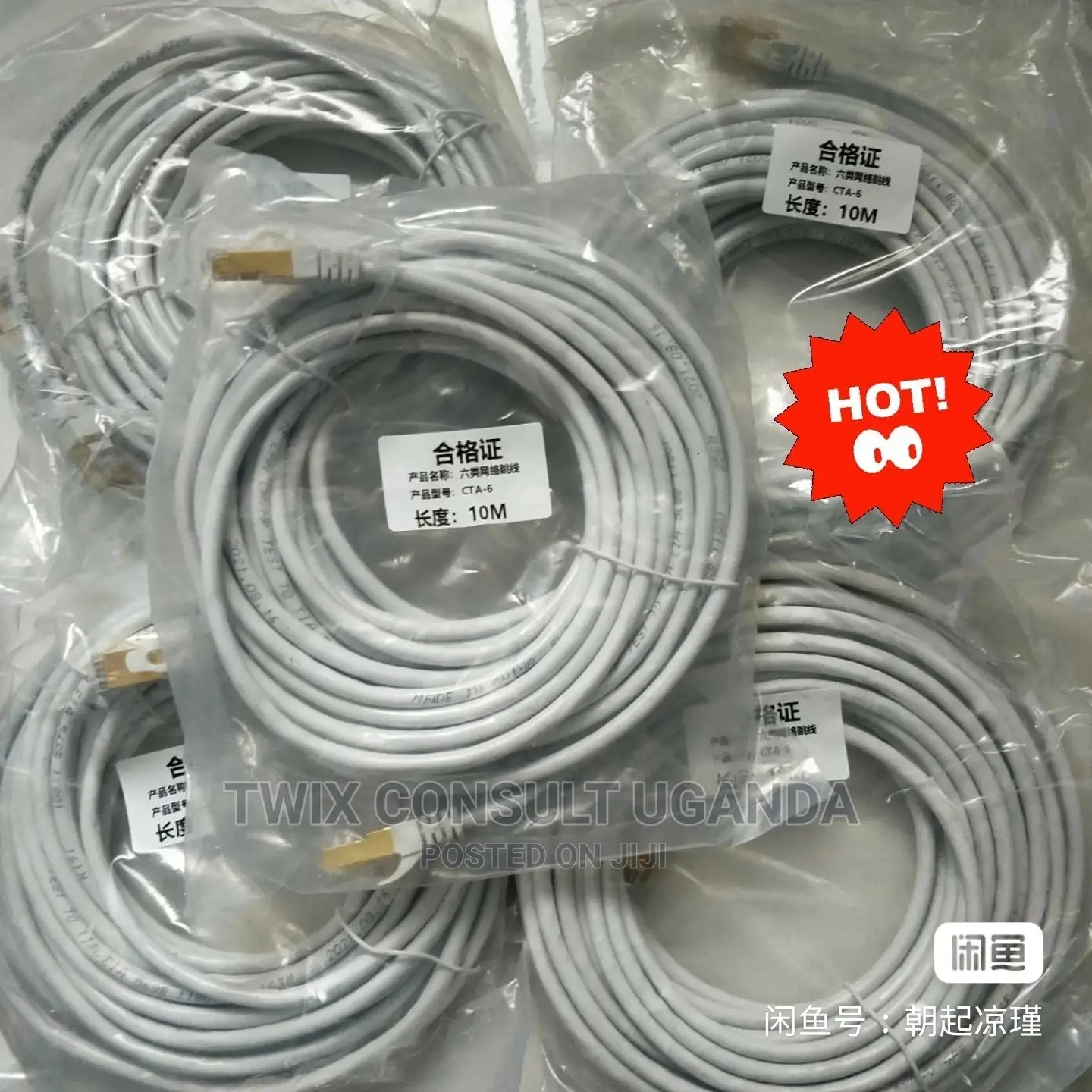 Cat 6 Cable