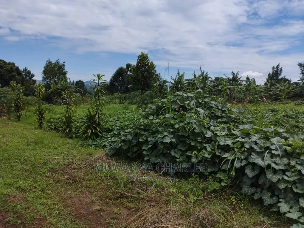 100by100ft Plot of Land for Sale at Buwate
