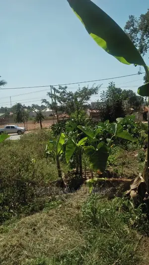 100by100ft Plot of Land for Sale at Buwate