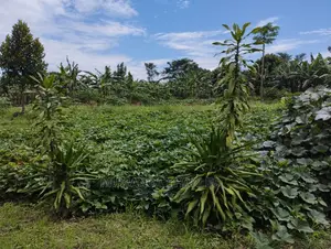 100by100ft Plot of Land for Sale at Buwate