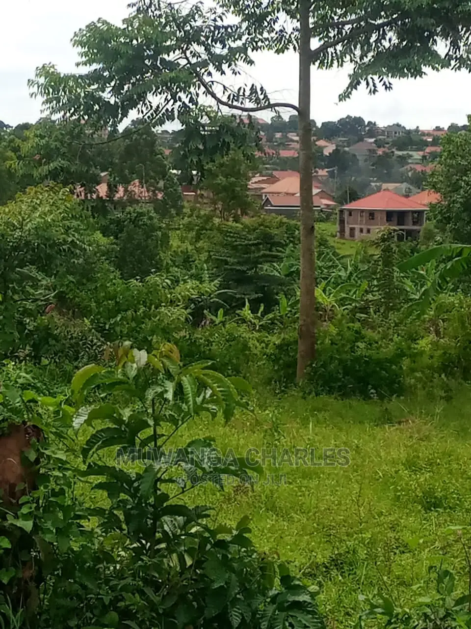 100by100ft Plot of Land for Sale at Buwate