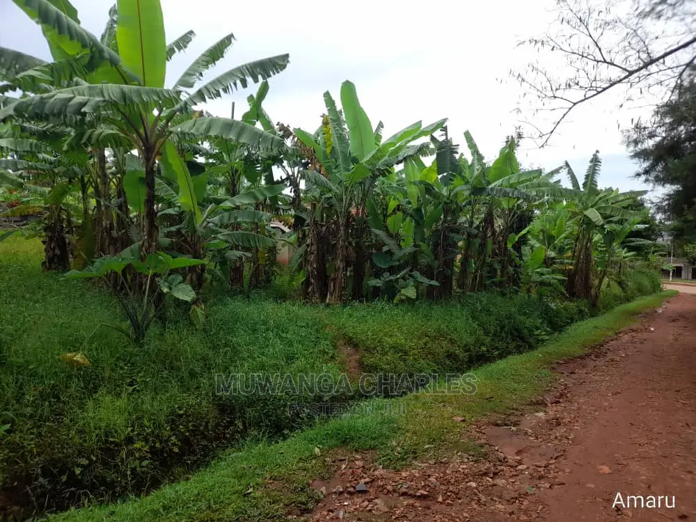 100by100ft Plot of Land for Sale at Buwate