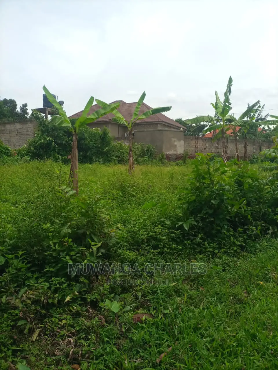 100by100ft Plot of Land for Sale at Buwate
