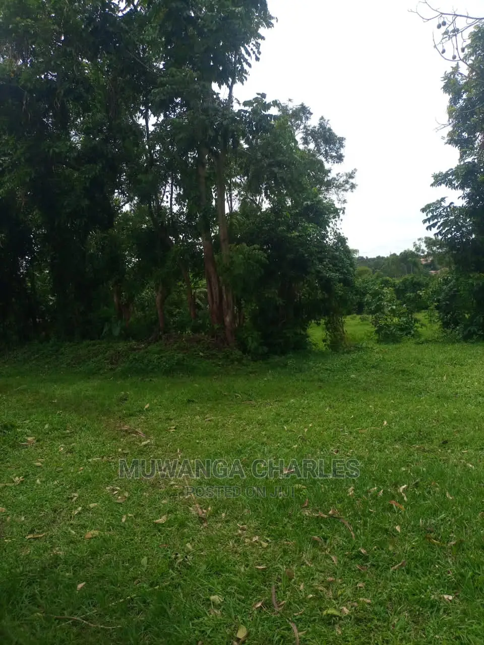 100by100ft Plot of Land for Sale at Buwate