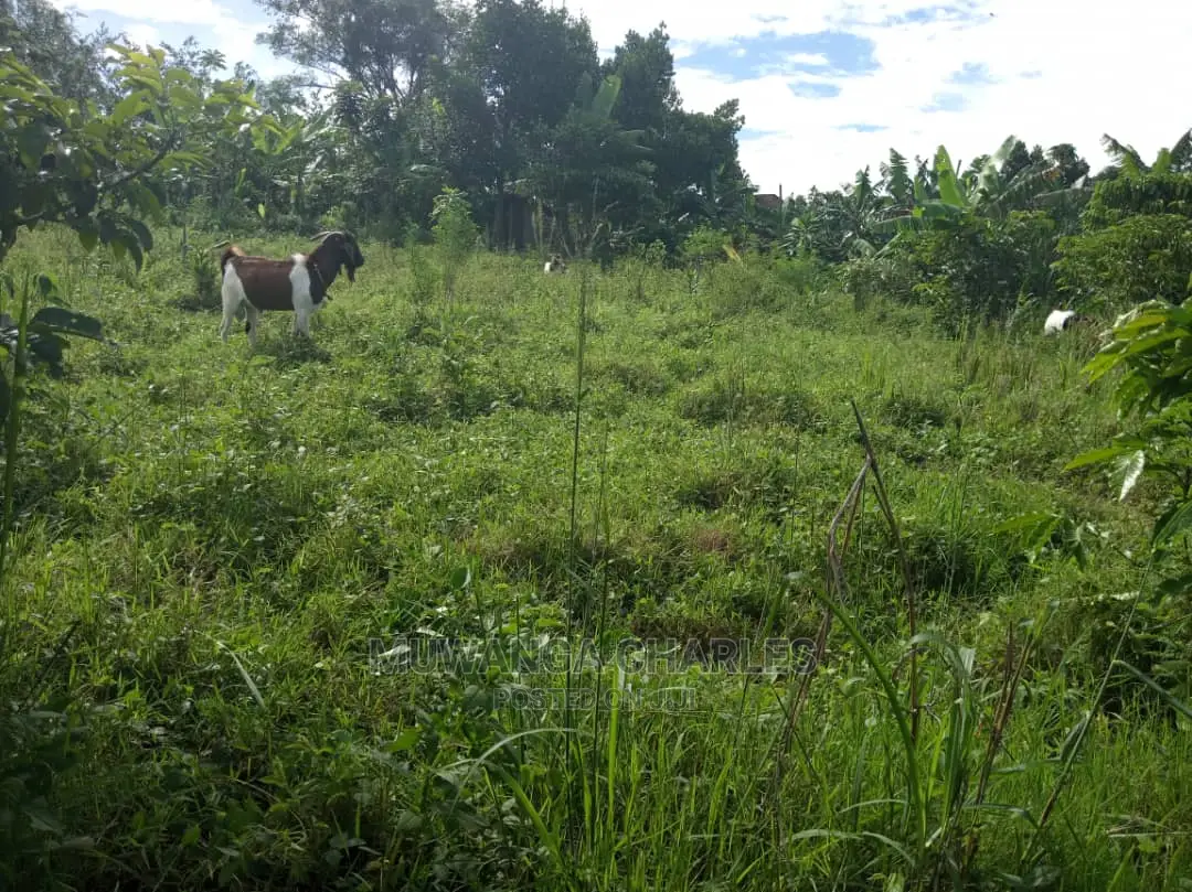 2acres of Land for Sale at Kikyusa