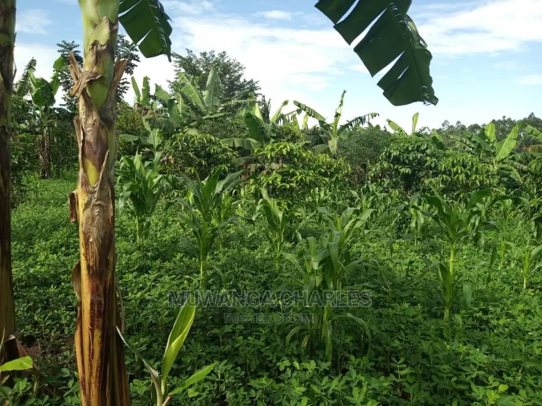 2acres of Land for Sale at Kikyusa