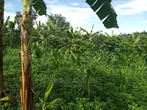 2acres of Land for Sale at Kikyusa