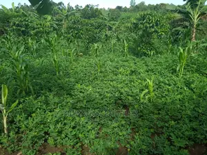 2acres of Land for Sale at Kikyusa