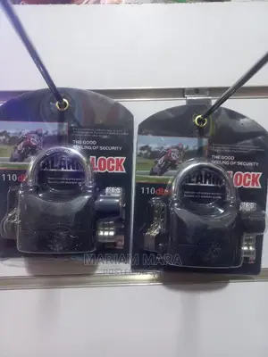 Alarm Paddlock