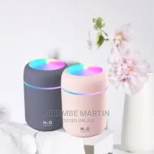 Photo - Portable Humidifer