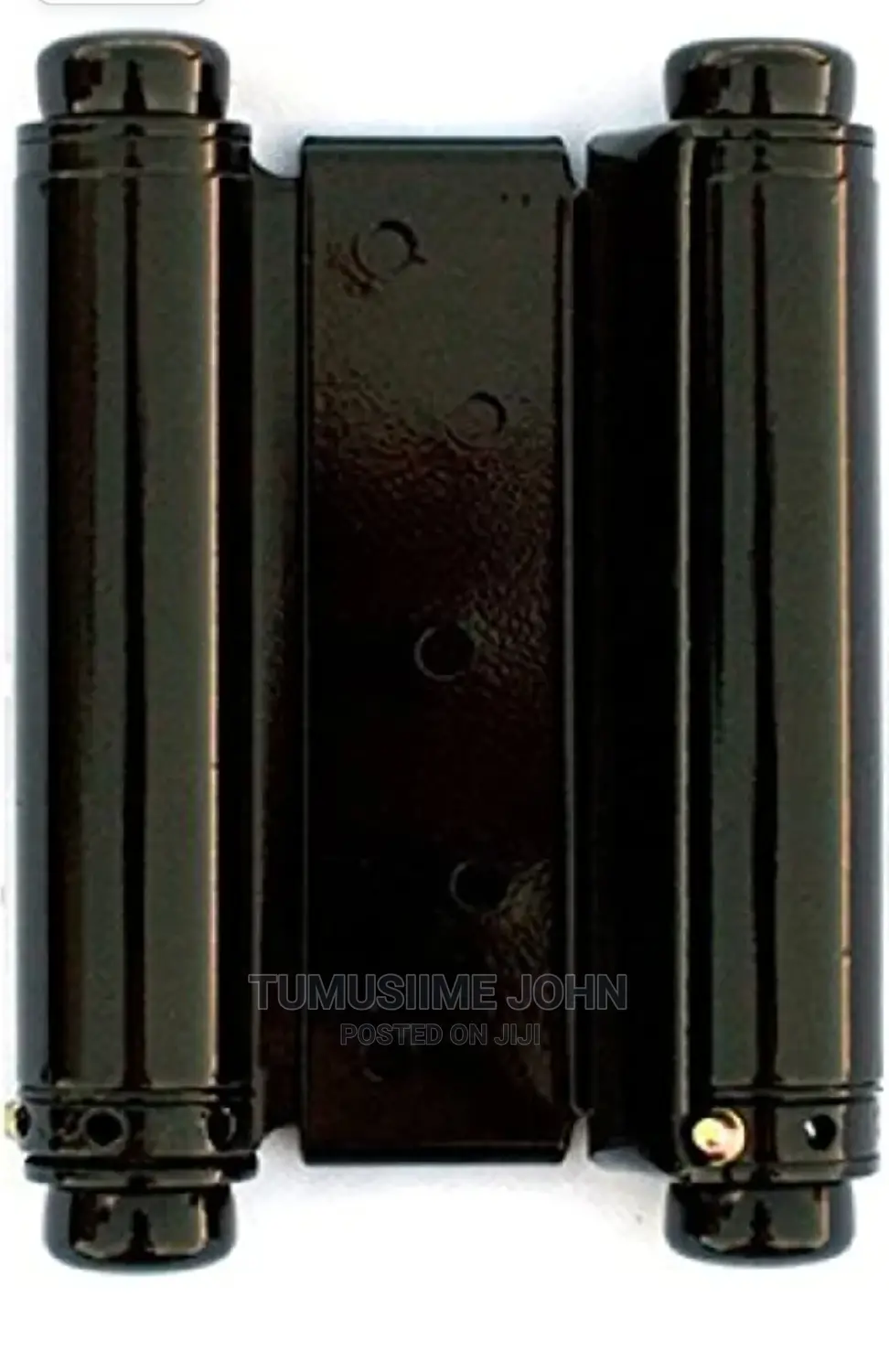 Swinging Hinges