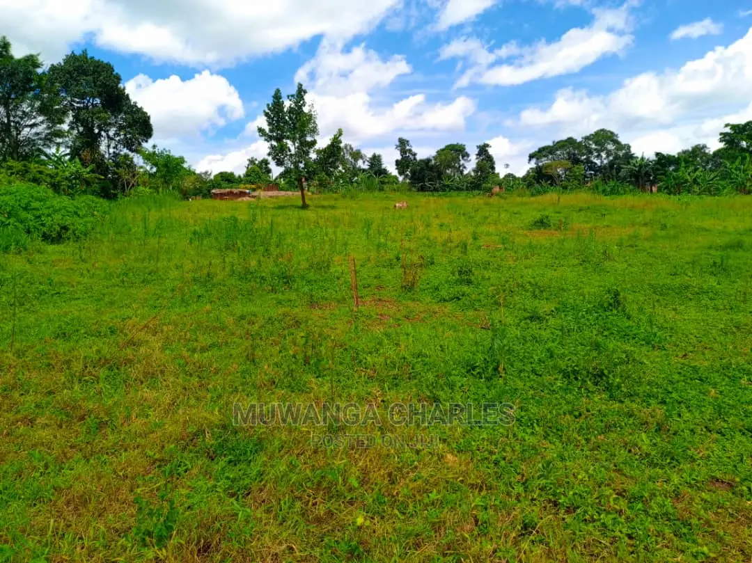 12decimals Plot for Sale at Kira Kimwanyi