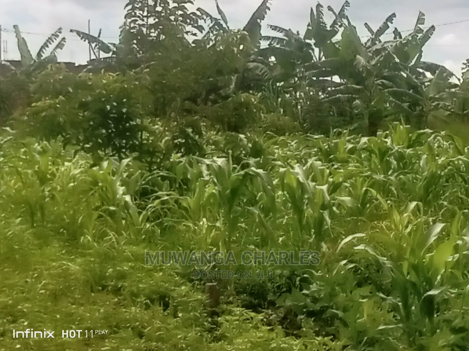 12decimals Plot for Sale at Kira Kimwanyi