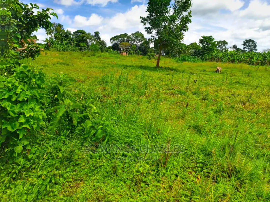 12decimals Plot for Sale at Kira Kimwanyi