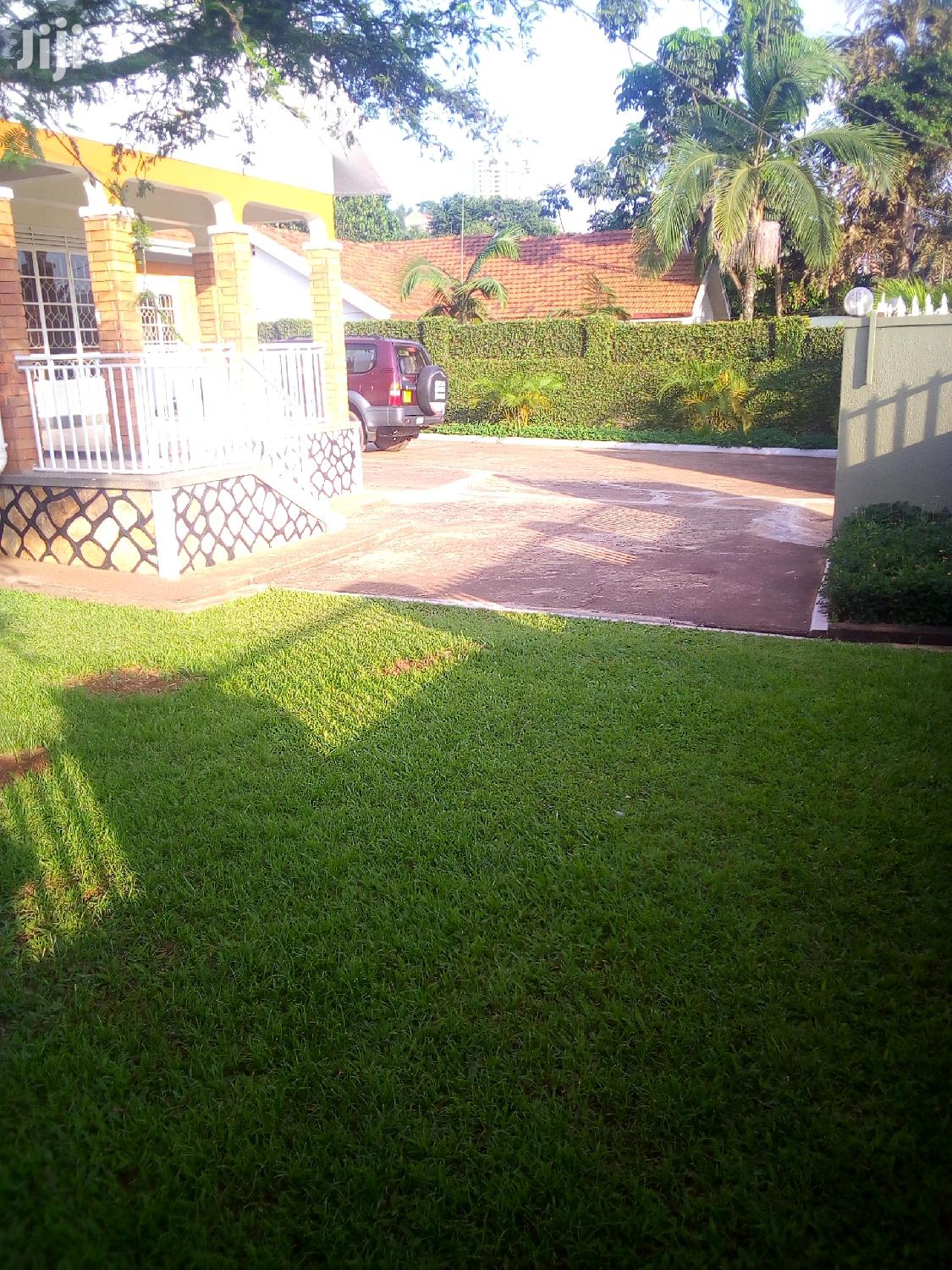 House For Rent