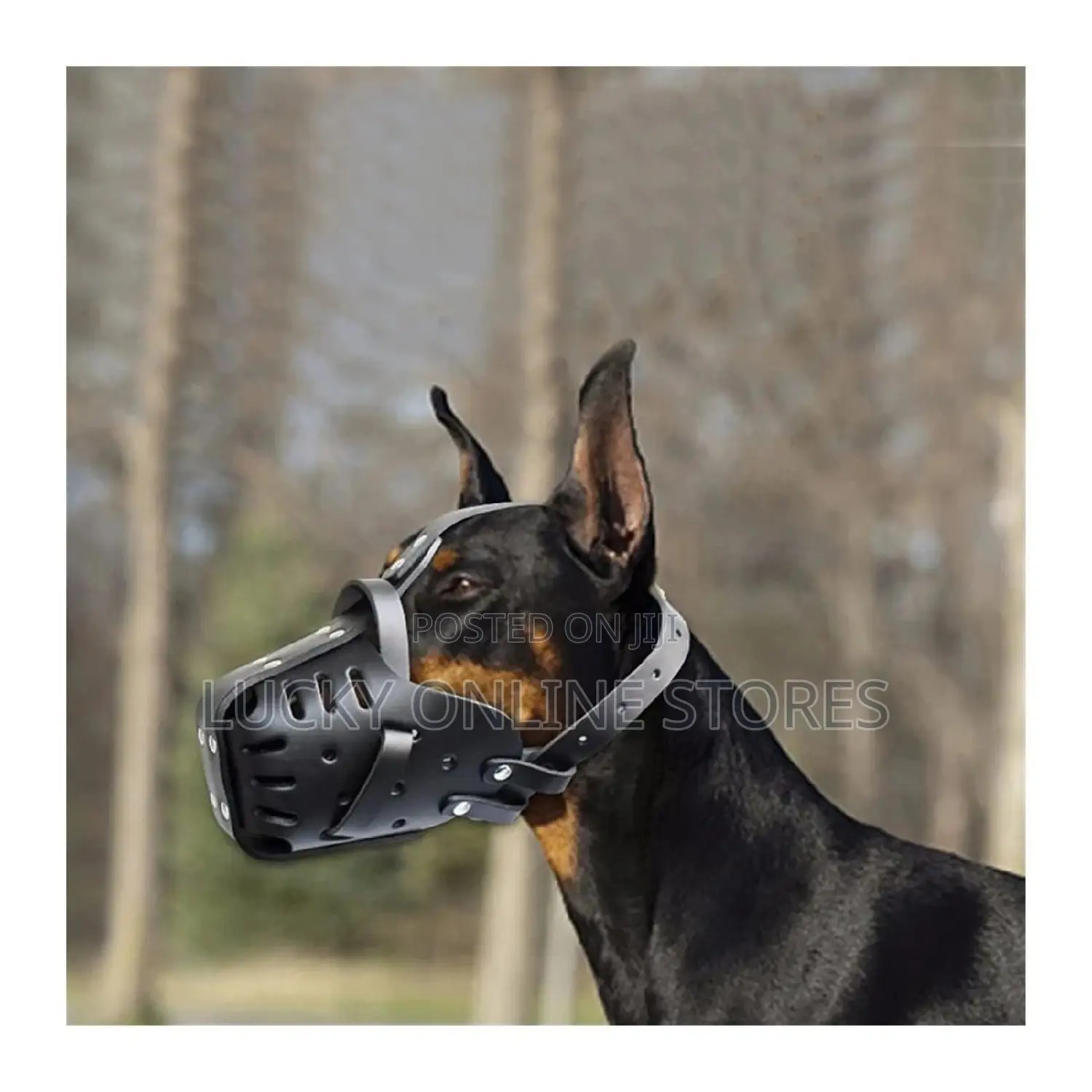 High Quality Dog Muzzle
