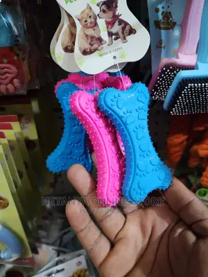 Funny Pet Playing Toys