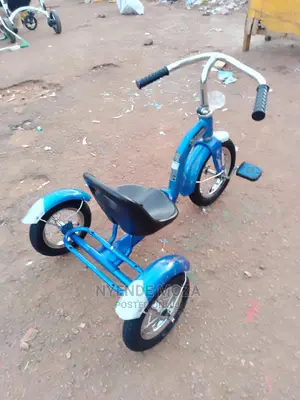Schwinn Double S