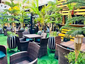 Artificial Grass Carpets