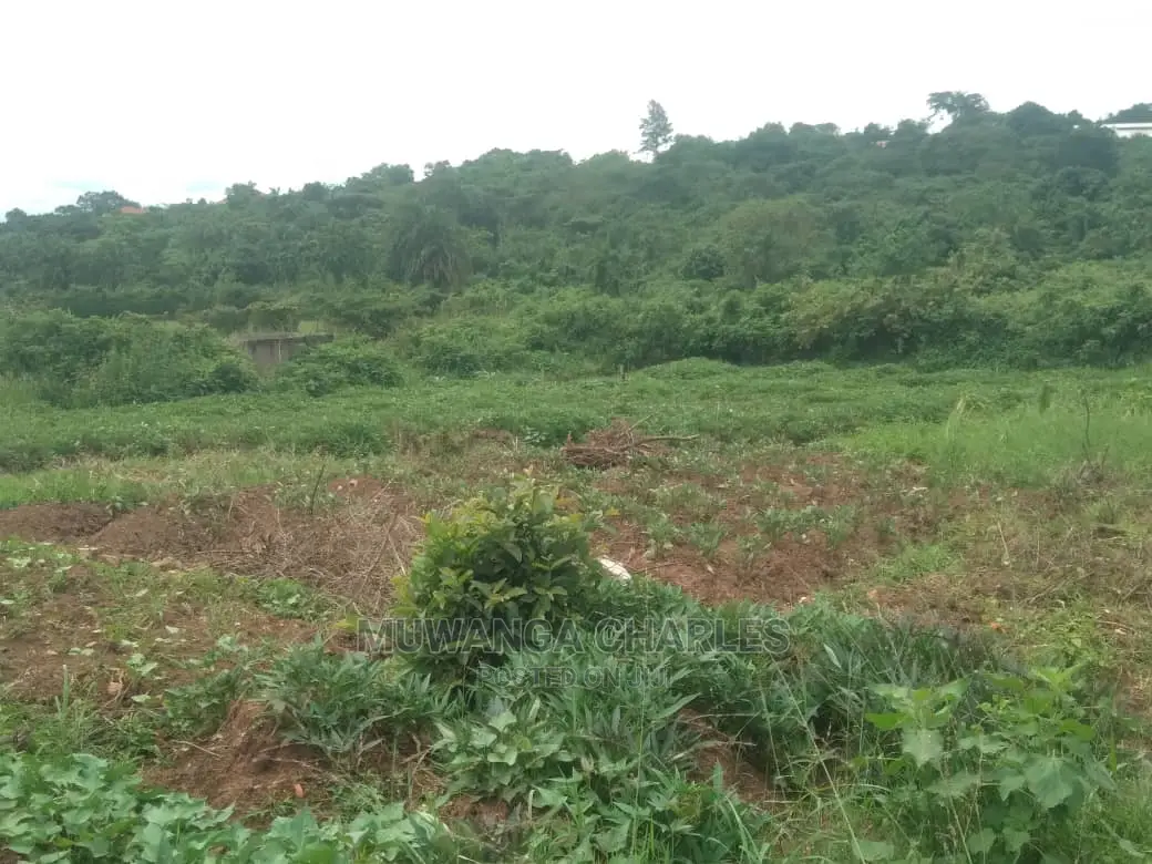 12decimals Plot of Land for Sale at Nakwero